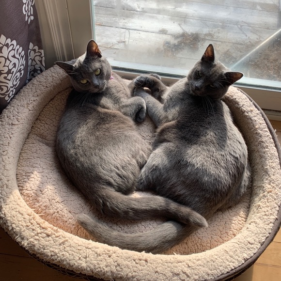 Meet your Posher, Catherine - Picture 7 of 8